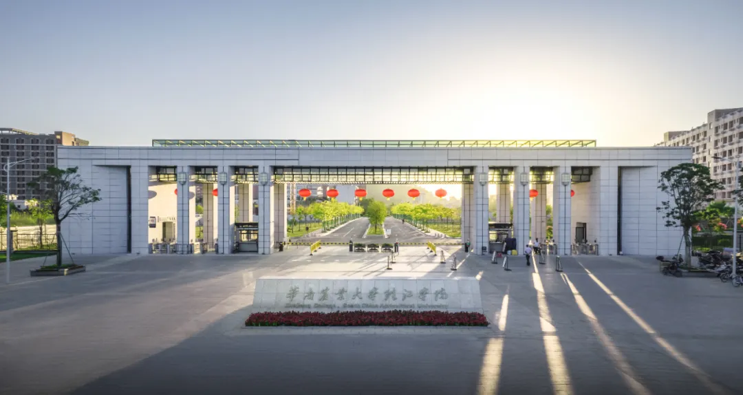 图片 6